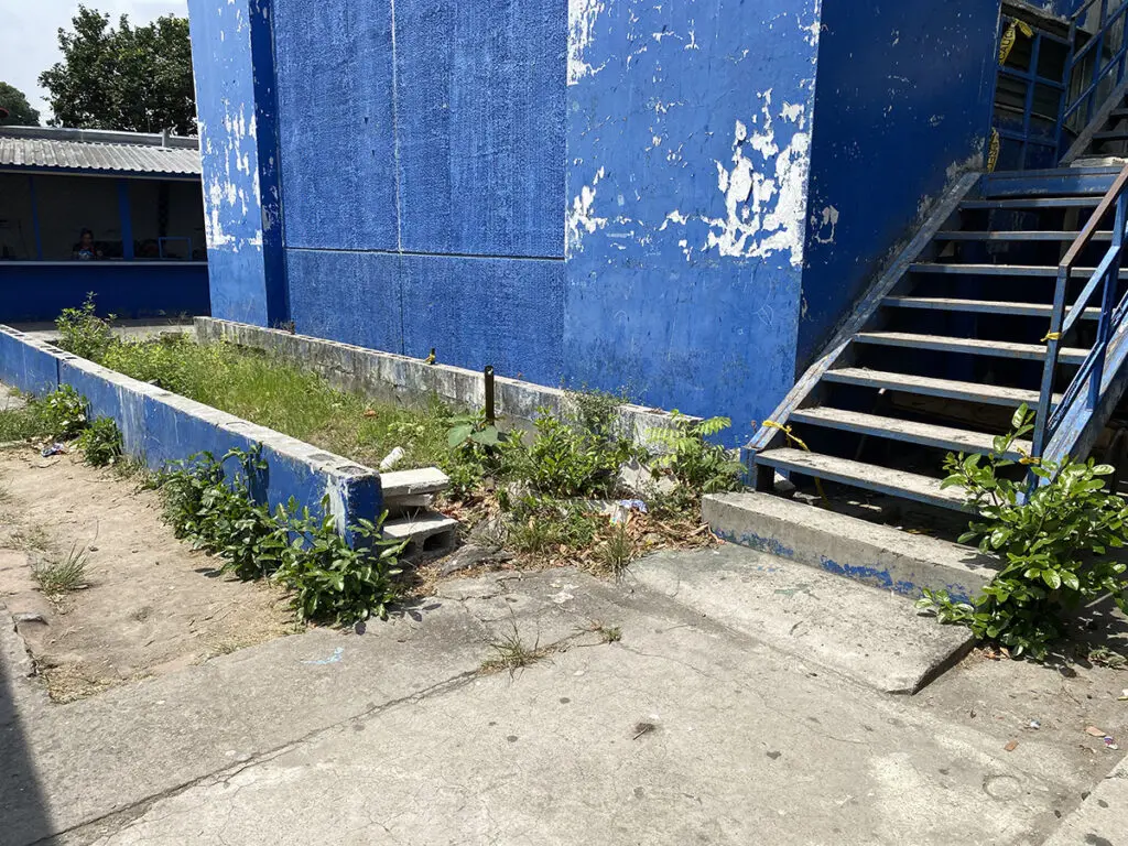 Descripción de la imagen