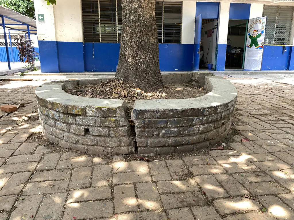 Descripción de la imagen