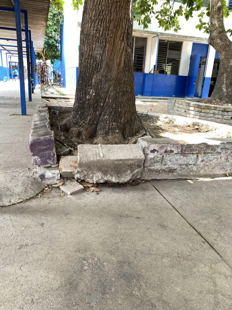 Descripción de la imagen
